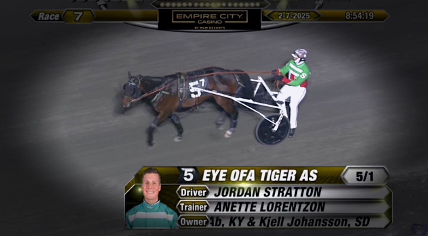 Eye Ofa Tiger As, shown at the race where he became a millionaire, driven by Jordan Stratton.