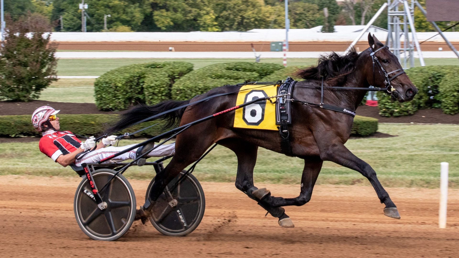 Jiggy Jog S of Svanstedt Stable, this year's MGM Yonkers Raceway International Trot winner