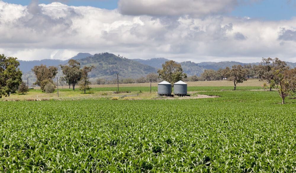 A Large Green Field with Two Silos in The Middle and Mountains in The Background — Radburn Carpentry in Quirindi, NSW