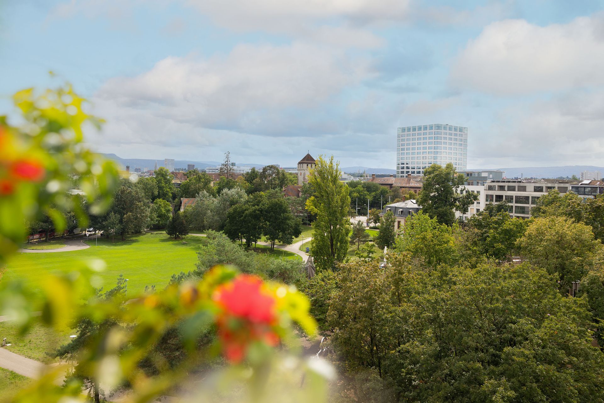 Blick auf einen Stadtpark mit grünen Bäumen, einer Rasenfläche und Gebäuden unter bewölktem Himmel.