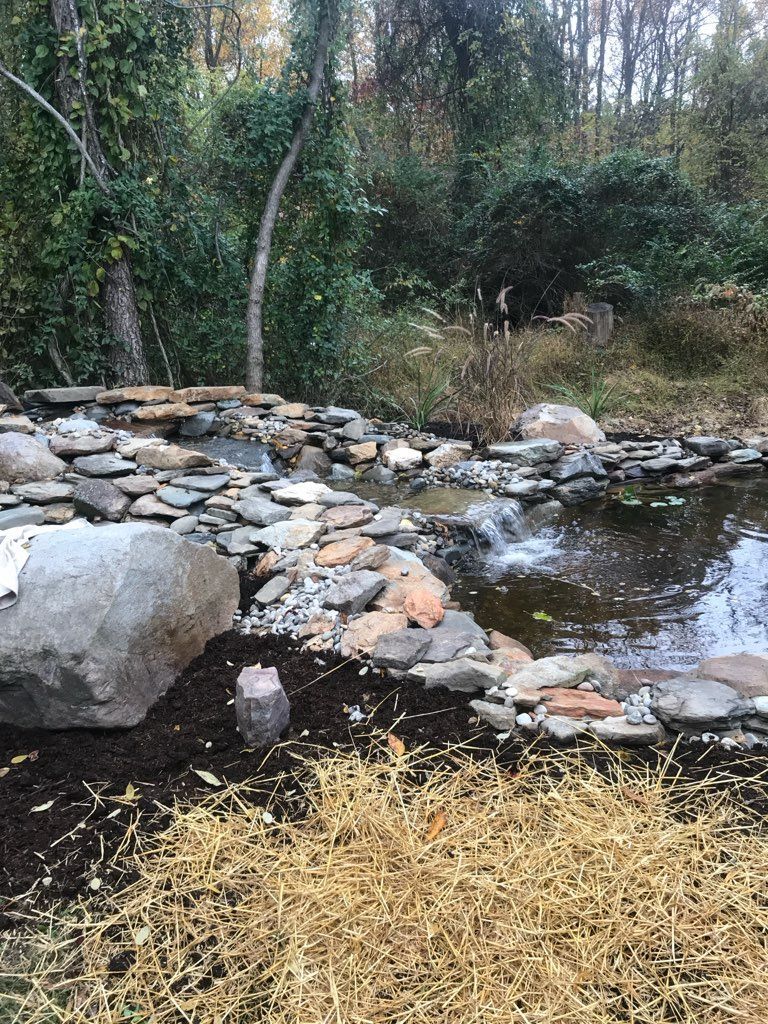 A pond surrounded by rocks and grass in the middle of a forest.