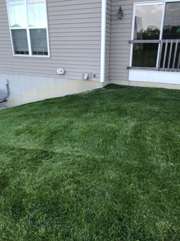 A lush green lawn in front of a house with a balcony.