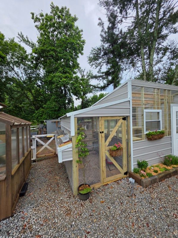 Small white greenhouse-style shed with a wooden gate and gravel path in a leafy backyard.