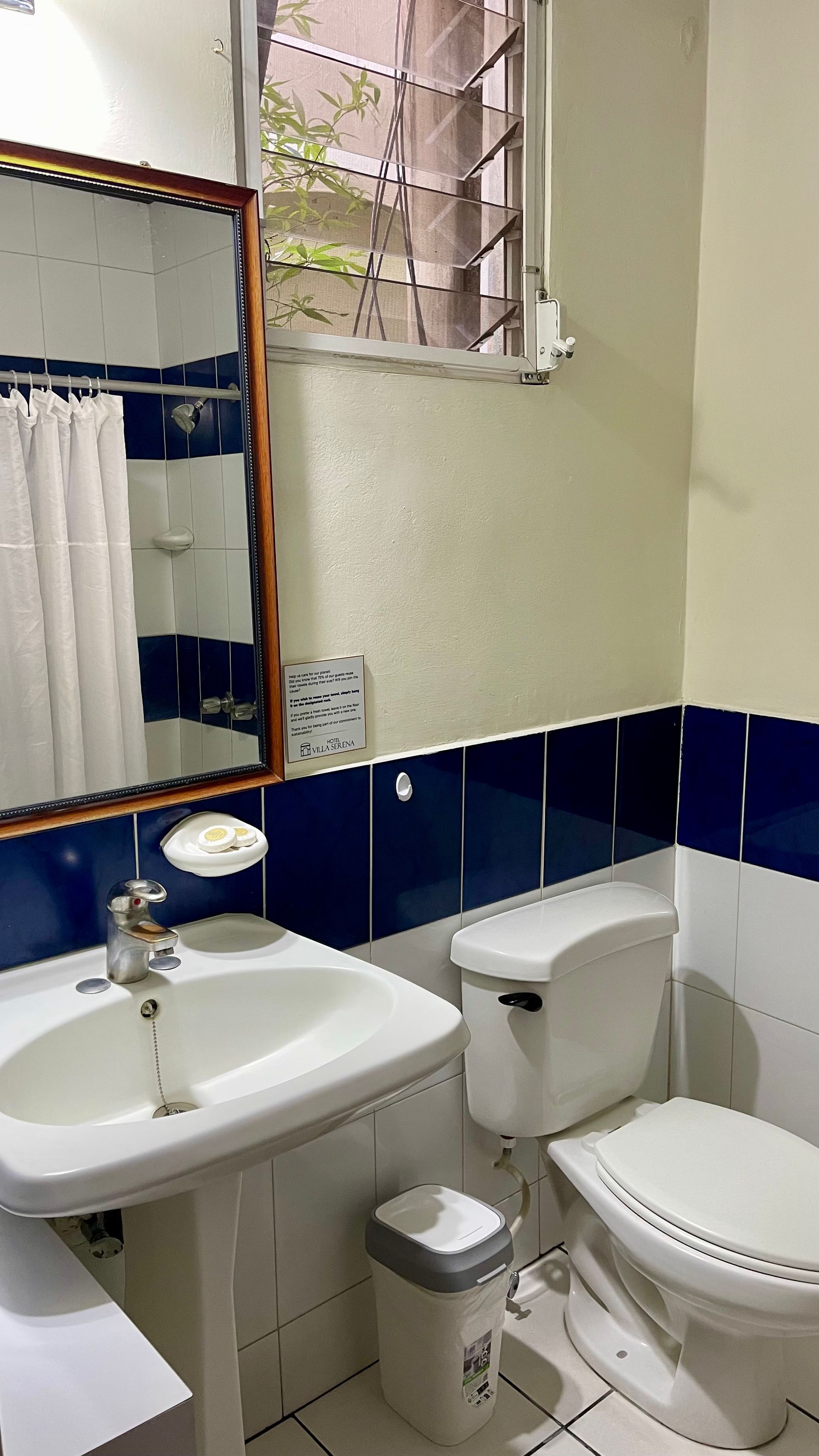 A bathroom featuring a pedestal sink, a toilet, a small waste bin, and a wall mirror above the sink.