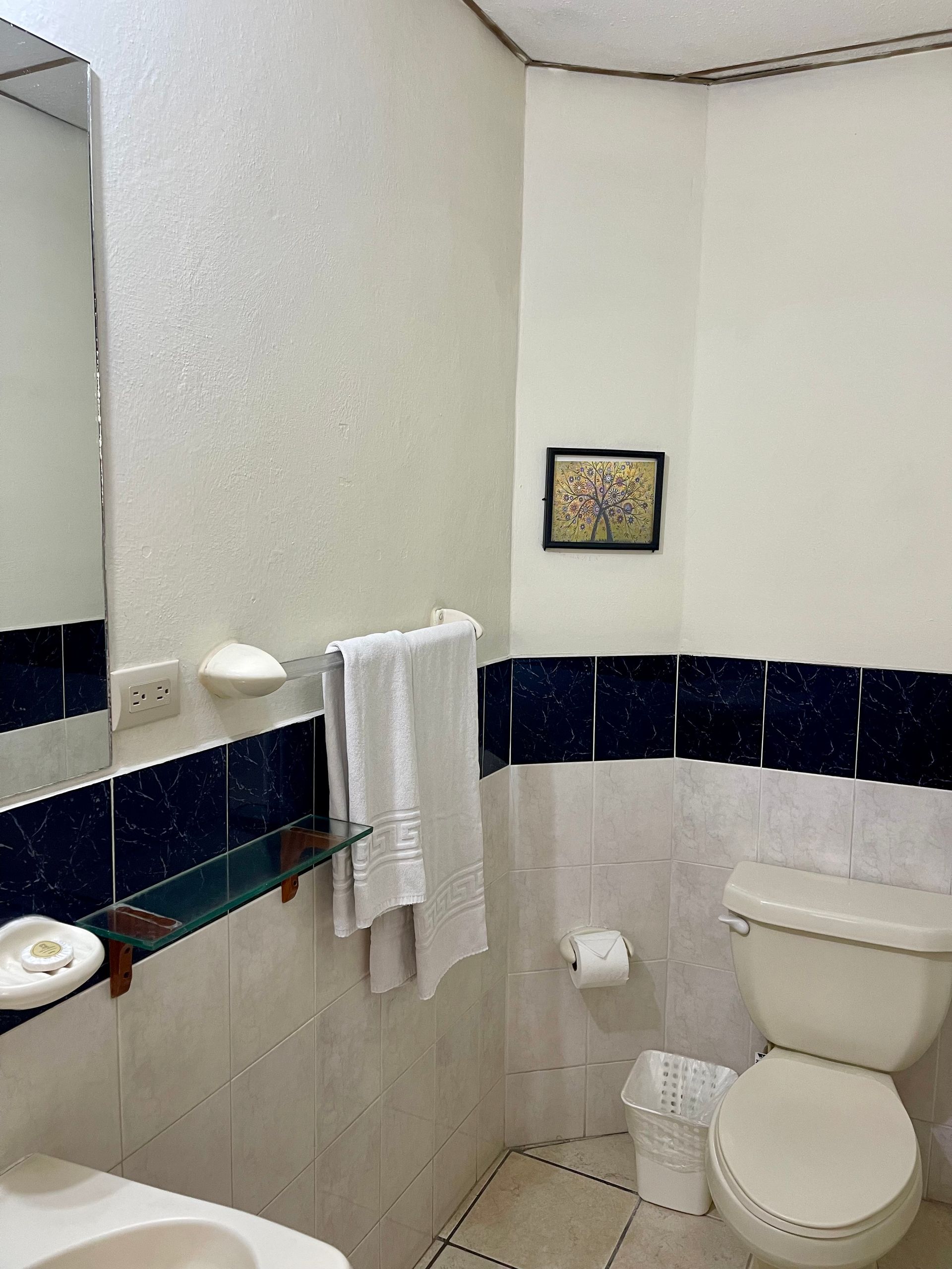 A bathroom with a toilet , sink and mirror