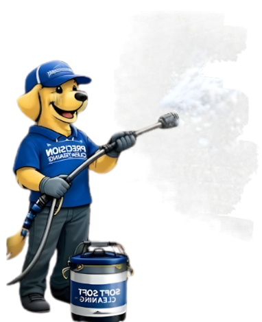 A golden retriever mascot in a blue uniform sprays cleaning foam from a hose next to a Precision Soft Cleaning bucket.