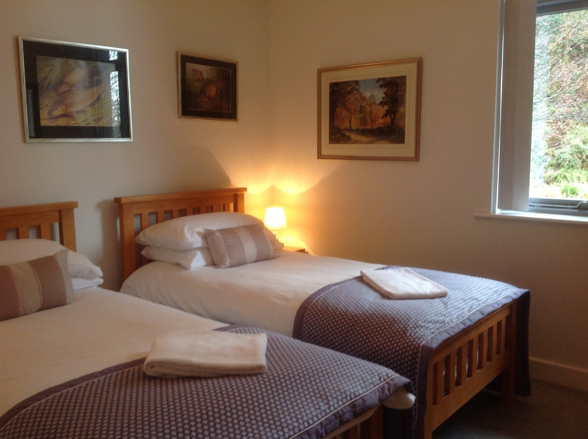 Twin bedroom with angling picture  on the wall in Riverside Lodge