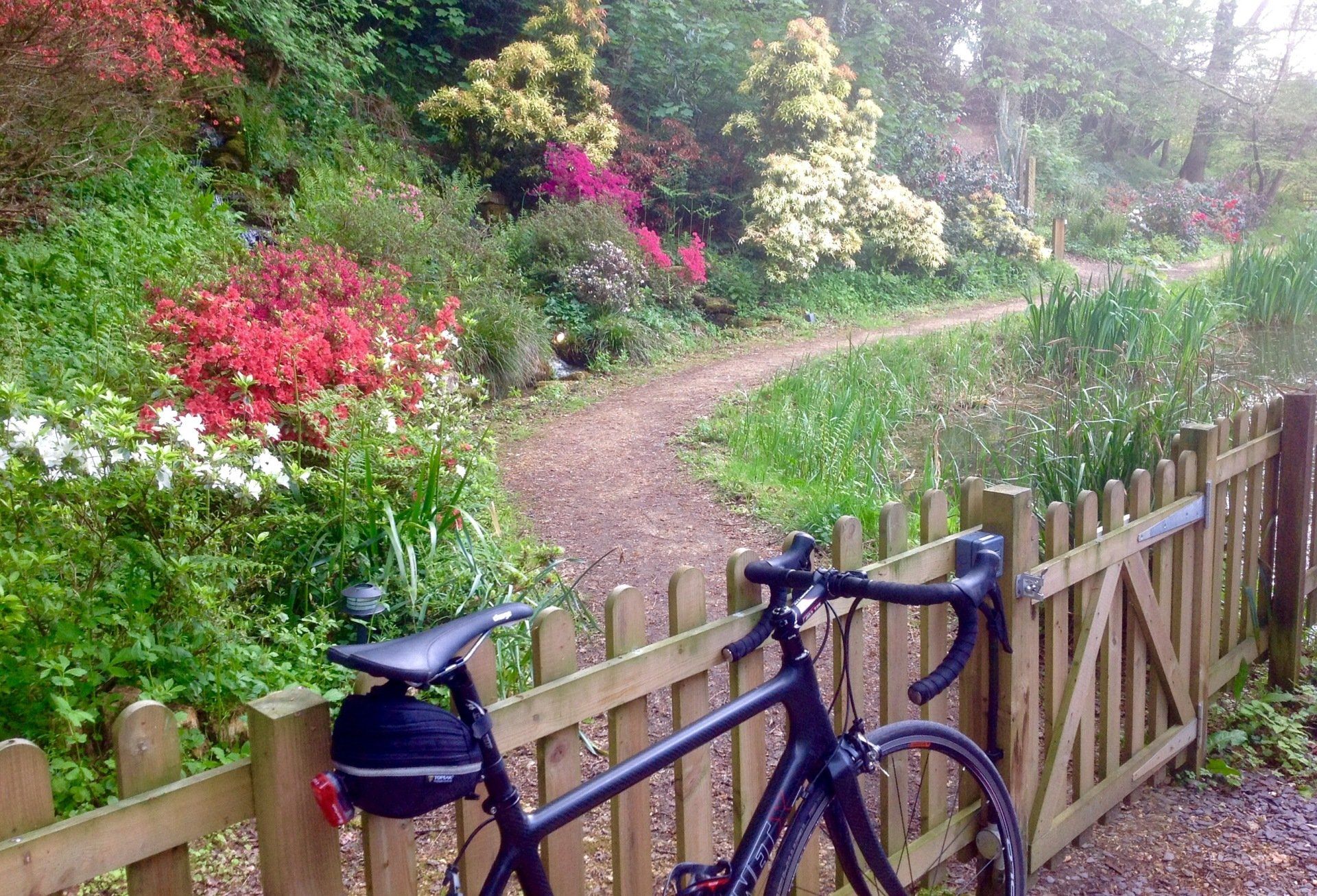 a bicycle is propped up against a gatein a woodland setting  ready for the cyclist