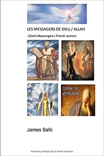 LES MESSAGERS DE DIEU / ALLAH (God's messengers) french version Paperback