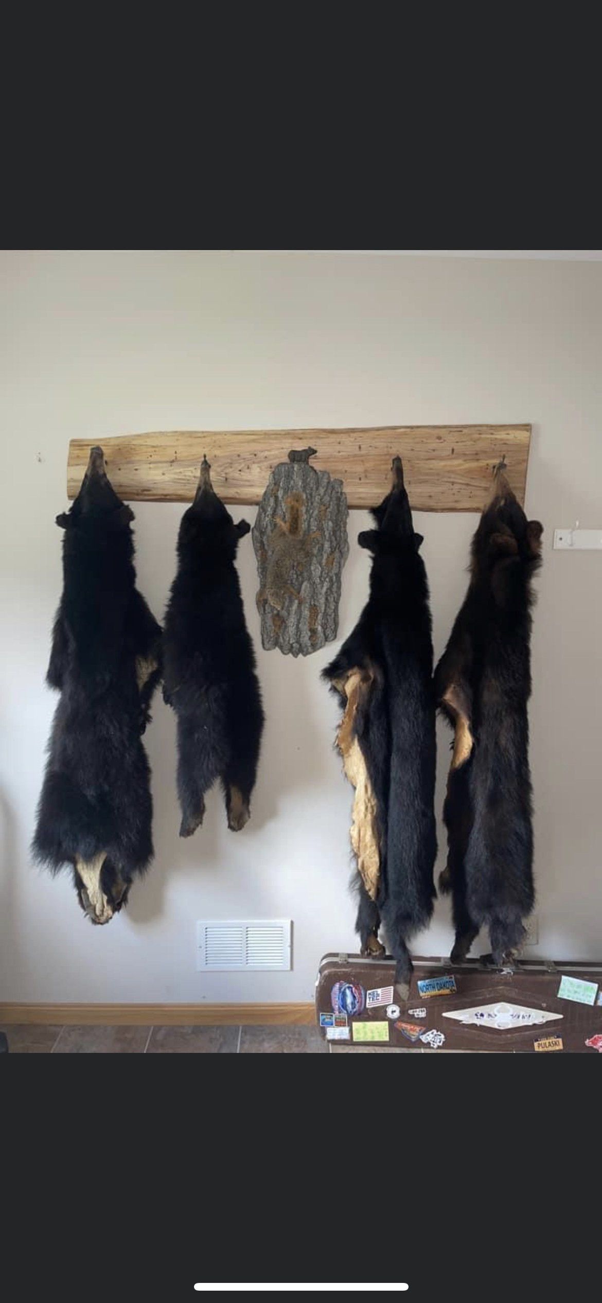 four black bears are hanging on a wooden rack — Mountain Critters Taxidermy — Newville, PA