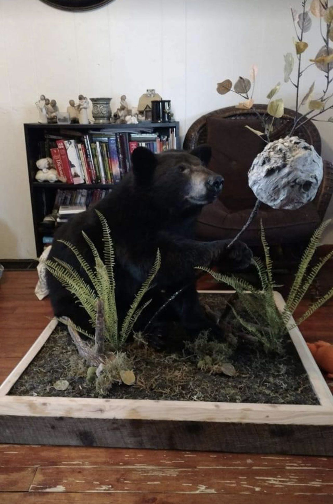 a black bear is sitting on a wooden tray in a living room — Mountain Critters Taxidermy — Newville, PA