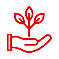 Une main tient une plante avec des feuilles qui poussent dessus.