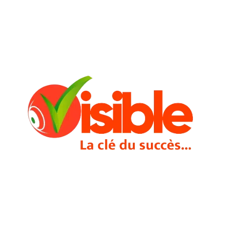 A logo for visible la cle du succes