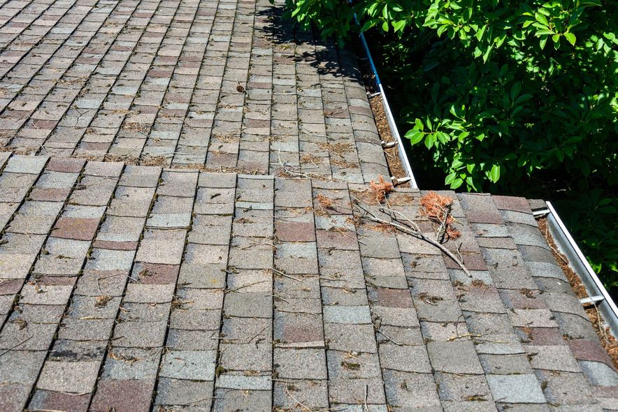 Dirty asphalt shingle roof covered in debris, with a gutter along the edge and tree in the background.