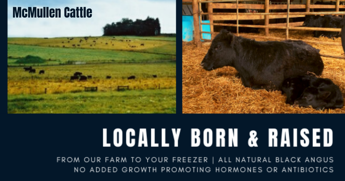 Benefits of buying freezer beef – Lincoln Township Farm Company