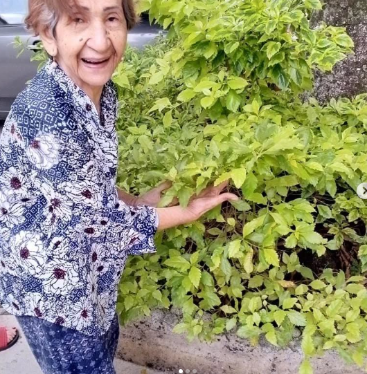 Hogar Geriátrico Arco Iris de Esperanza
