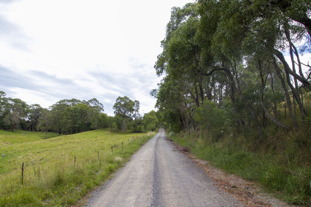 A Dirt Road Going Through a Grassy Field With Trees on Both Sides — Southern Tablelands Windscreen Repairs In Exeter, NSW