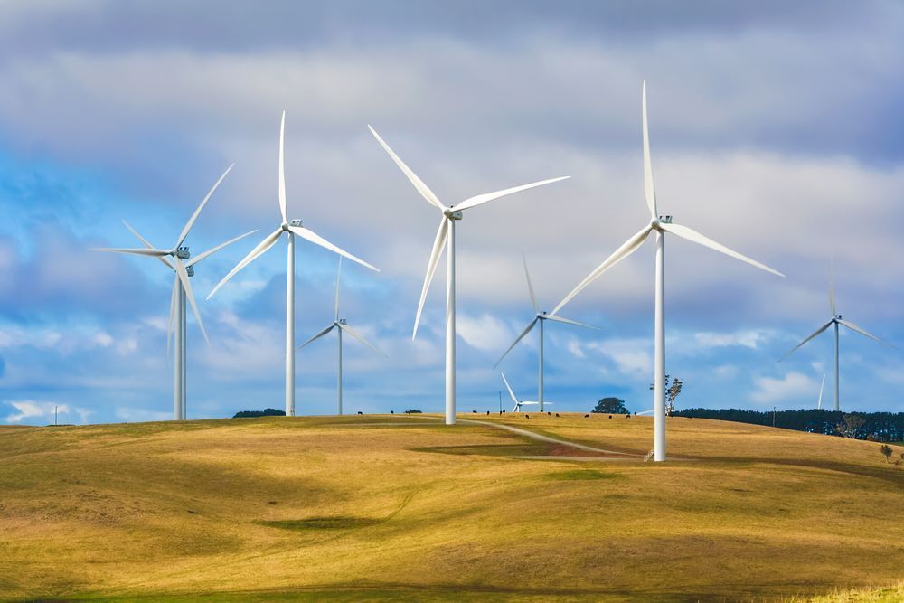 A Row of Wind Turbines Are Sitting on Top of a Grassy Hill — Southern Tablelands Windscreen Repairs In Taralga, NSW
