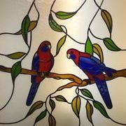 Two Parrot Birds on Tree — Jamisontown, NSW — Stained Glass Overlay Penrith