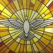 Dove Design — Jamisontown, NSW — Stained Glass Overlay Penrith