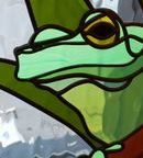 Frog Close Up — Jamisontown, NSW — Stained Glass Overlay Penrith