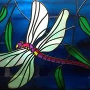 Beautiful Dragonfly — Jamisontown, NSW — Stained Glass Overlay Penrith