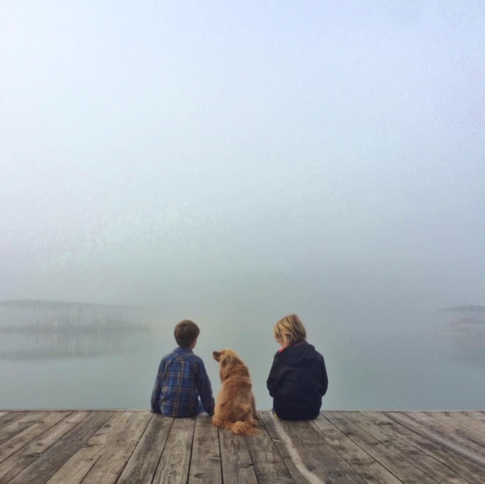 Two children and a golden retriever sit on a wooden dock, looking at a foggy lake.