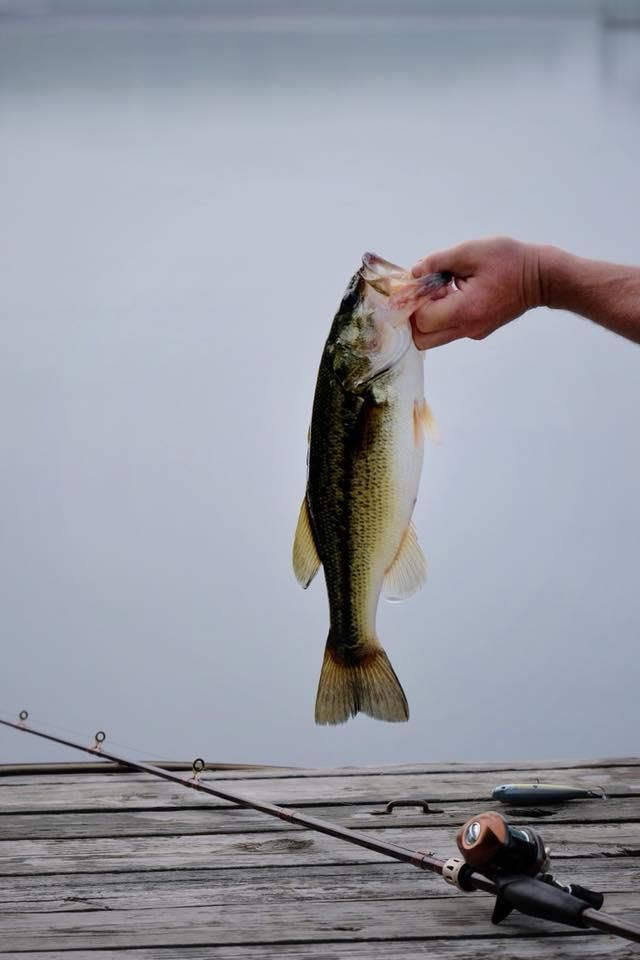 Person holding up a largemouth bass caught while fishing on a wooden dock with a cloudy lake in the background.