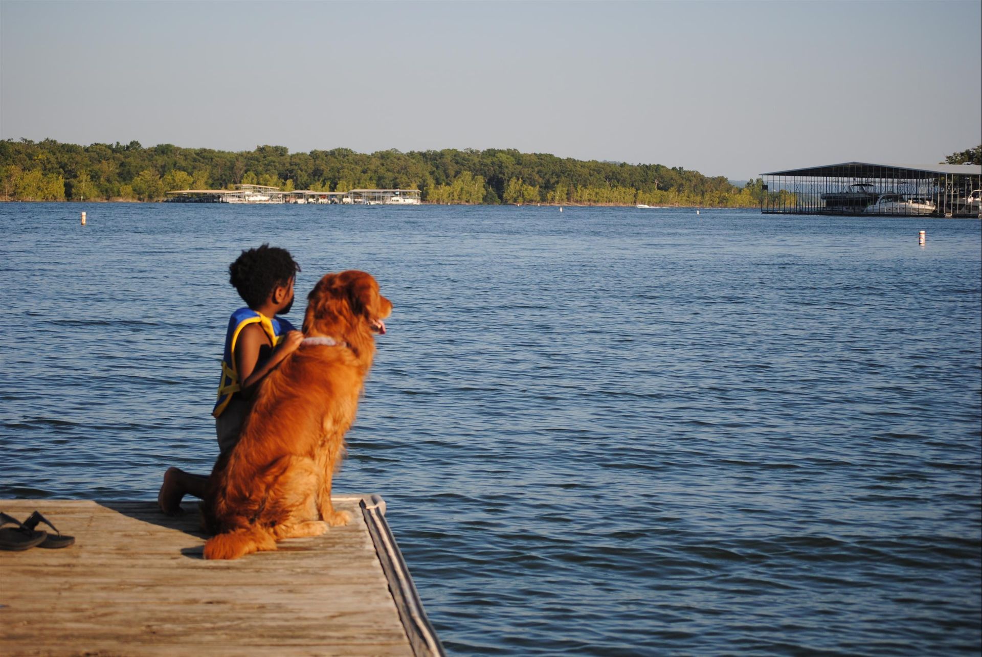 Boy kneels next to a golden retriever on a dock, both looking out over a blue lake.