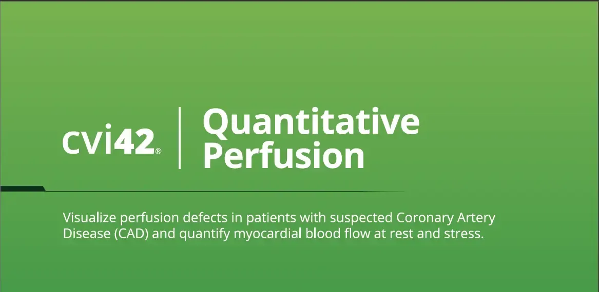 A green slide with the text 