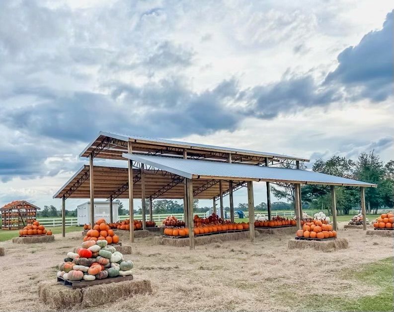 Pumpkin patch with stacked pumpkins and hay bales under a covered structure, cloudy sky.
