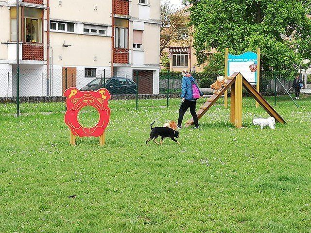 Campo gioco per cani
