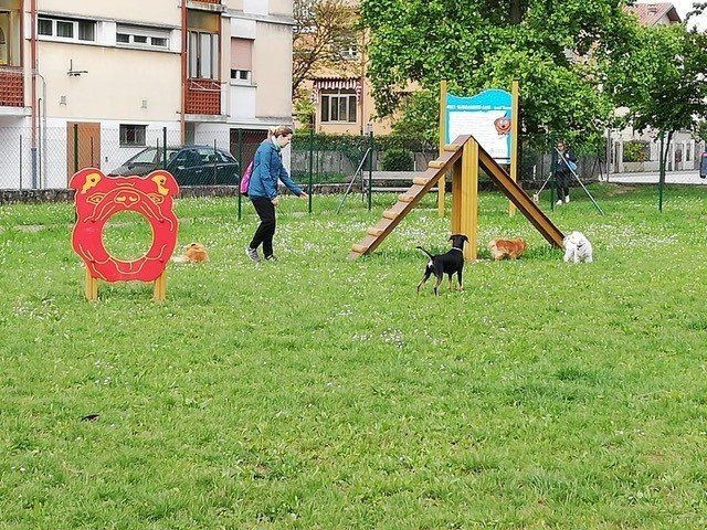 Parco con giochi per animali domestici