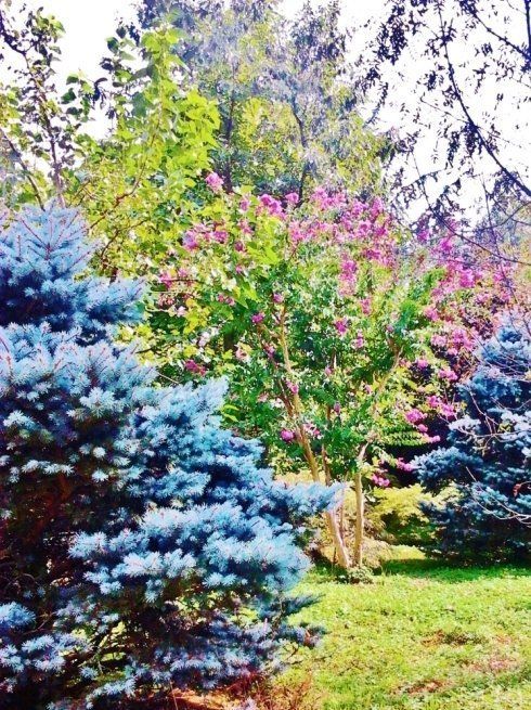 Creazione di spazi verdi