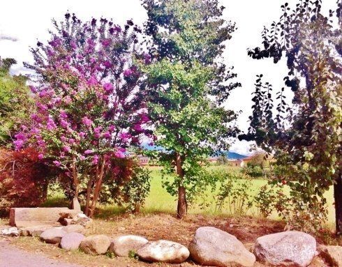 Manutenzione di giardini privati