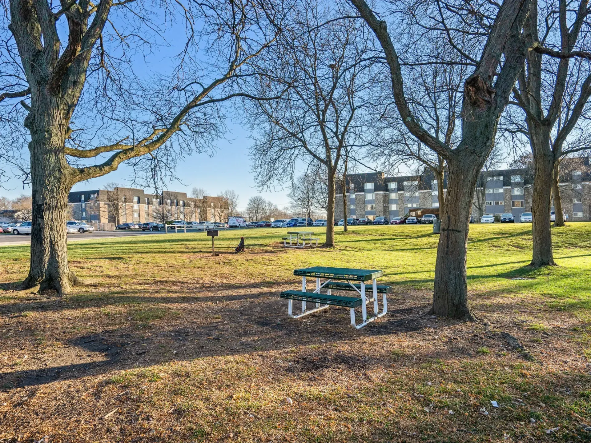 Open green space with picnic table and trees, overlooking apartment buildings in the background.