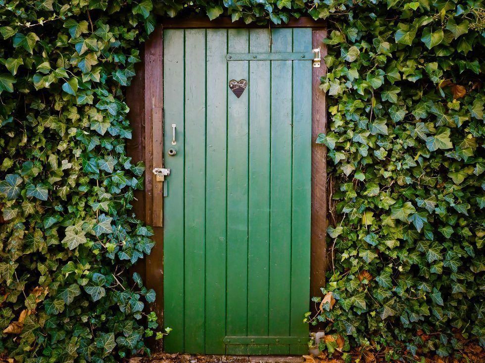 A green, vertical-plank wooden door set into a stone wall completely covered by dense green ivy.