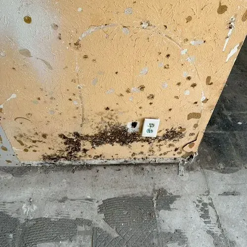 Yellow wall with water damage and brown stains, with an electrical outlet and damaged floor.