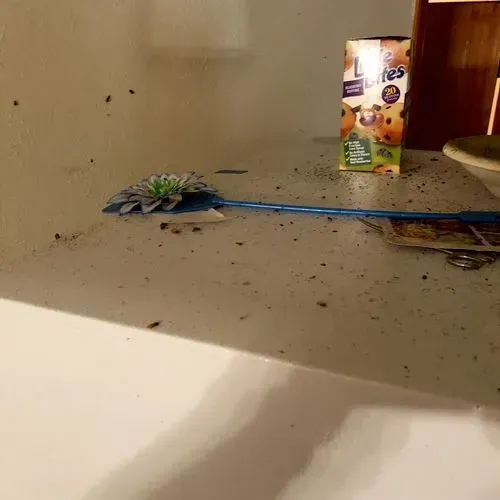 A dirty, cluttered refrigerator shelf; a juice box and cleaning brush are visible.