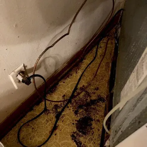 Electrical outlet and tangled cords on stained, patterned floor against a wall.