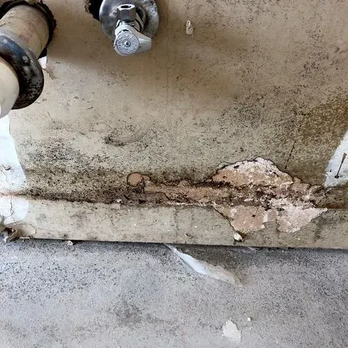 Mold and peeling paint under a sink, showing signs of water damage.