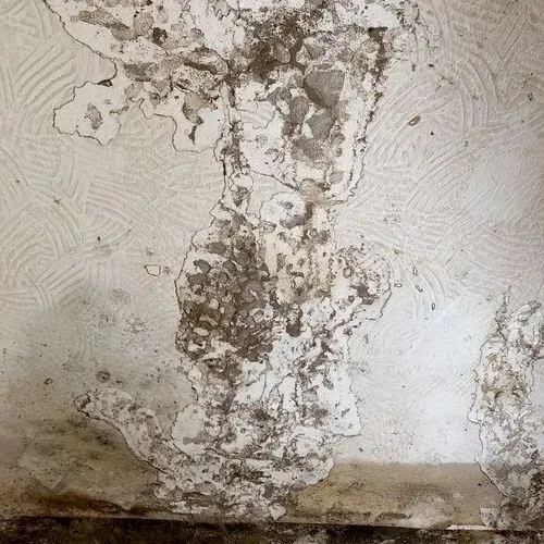 Peeling, discolored wall with water damage, revealing underlying layers.