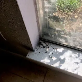 Window sill with debris, black trim, white paint, dark wall, and outdoor view.