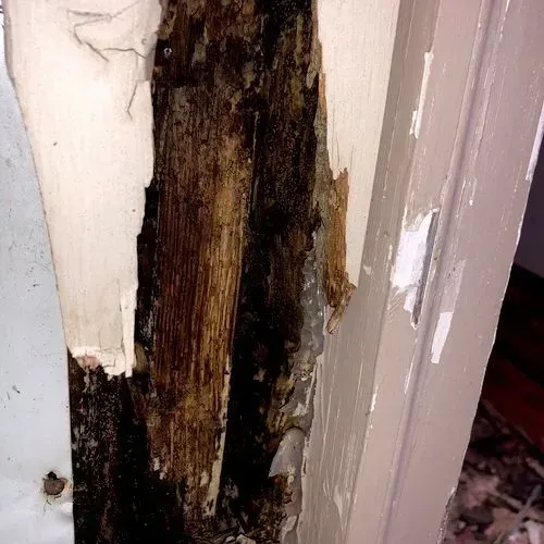 Door frame with extensive wood rot, paint peeling.