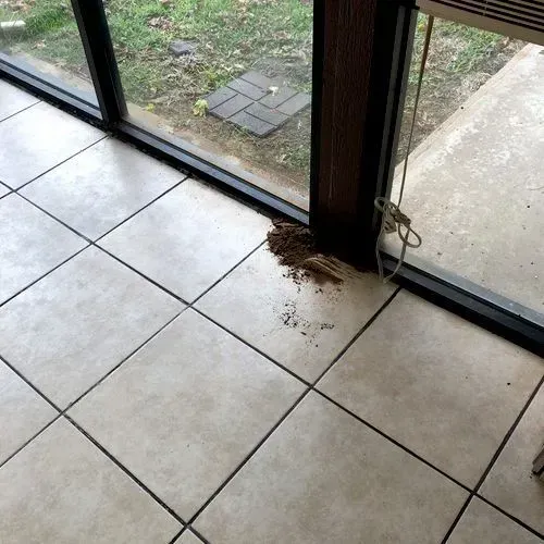Pile of dirt inside by a window. Tiles and a small outside patio are visible.