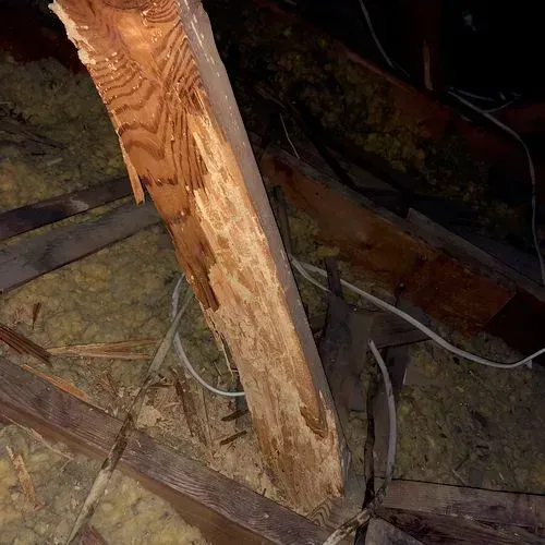 A wooden beam in an attic shows significant rot and damage.