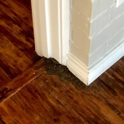 Dark wood floor with debris near a white door frame and baseboard on a painted brick wall.