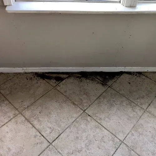 Dirty tile floor with dark debris along the base of a wall beneath a window.