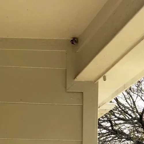 Corner of a porch with off-white painted wood; a small nest sits in the corner, with a glimpse of bare tree branches.