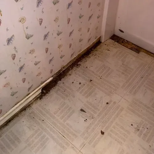 Dirty floor and wall corner with peeling wallpaper and debris.